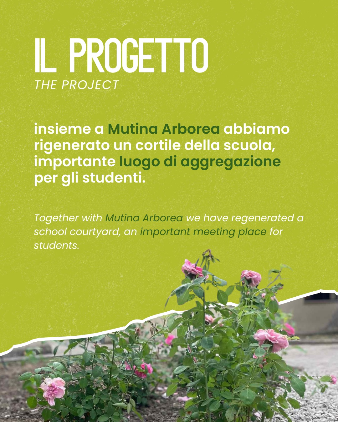 Kf E Mutina Arborea: Insieme Per La Rigenerazione Del Territorio – Immagine 2 Di 8